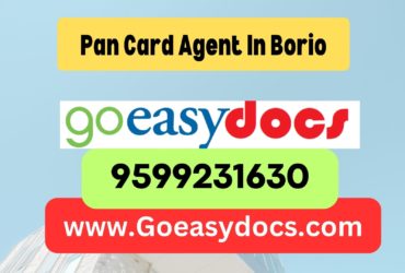 Pan Card Agent Consultant in Borio 8851415812