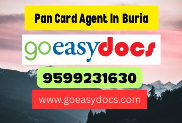 Pan Card Agent Consultant in Buria 8851415812