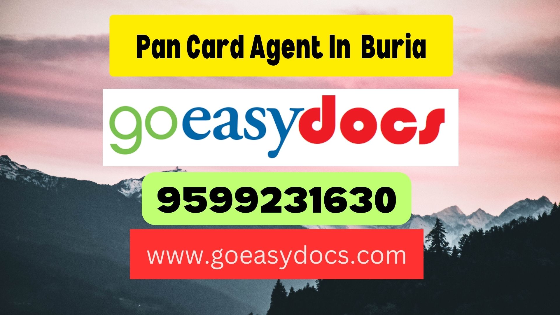 Pan Card Agent Consultant in Buria 8851415812