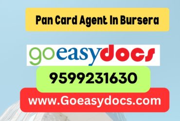 Pan Card Agent Consultant in Bursera 8851415812