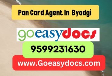 Pan Card Agent Consultant in Byadgi  8851415812