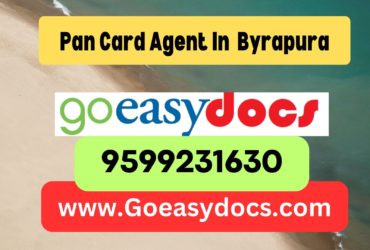 Pan Card Agent Consultant in Byrapura 8851415812