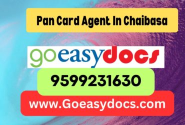 Pan Card Agent Consultant in Chaibasa 8851415812