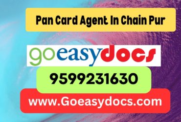 Pan Card Agent Consultant in Chain Pur 8851415812