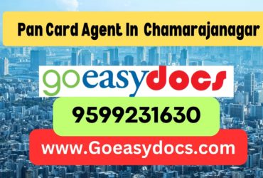 Pan Card Agent Consultant in Chamarajanagar 8851415812