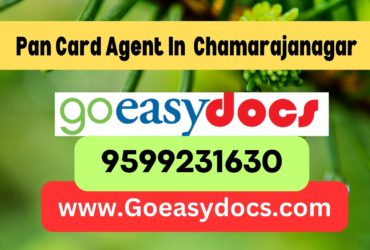 Pan Card Agent Consultant in Chamarajanagar 8851415812