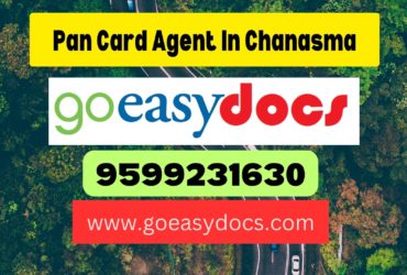 Pan Card Agent Consultant in Chanasma 8851415812