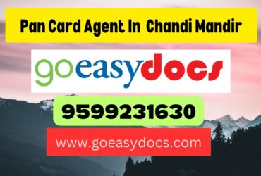 Pan Card Agent Consultant in Chandi Mandir 8851415812