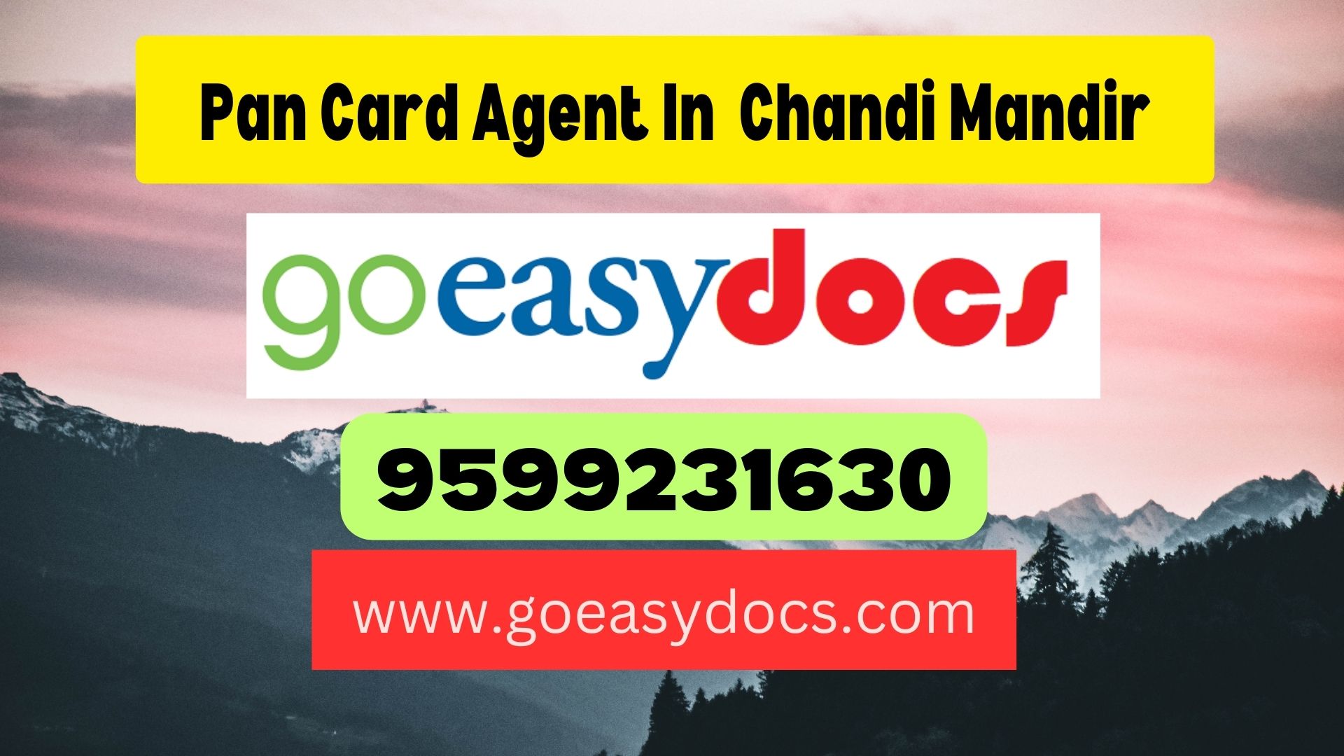 Pan Card Agent Consultant in Chandi Mandir 8851415812