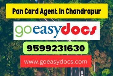 Pan Card Agent Consultant in Chandrapur 8851415812