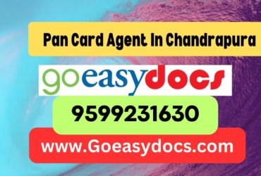 Pan Card Agent Consultant in Chandrapura 8851415812