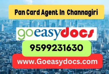 Pan Card Agent Consultant in Channagiri 8851415812