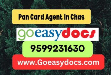 Pan Card Agent Consultant in Chas 8851415812