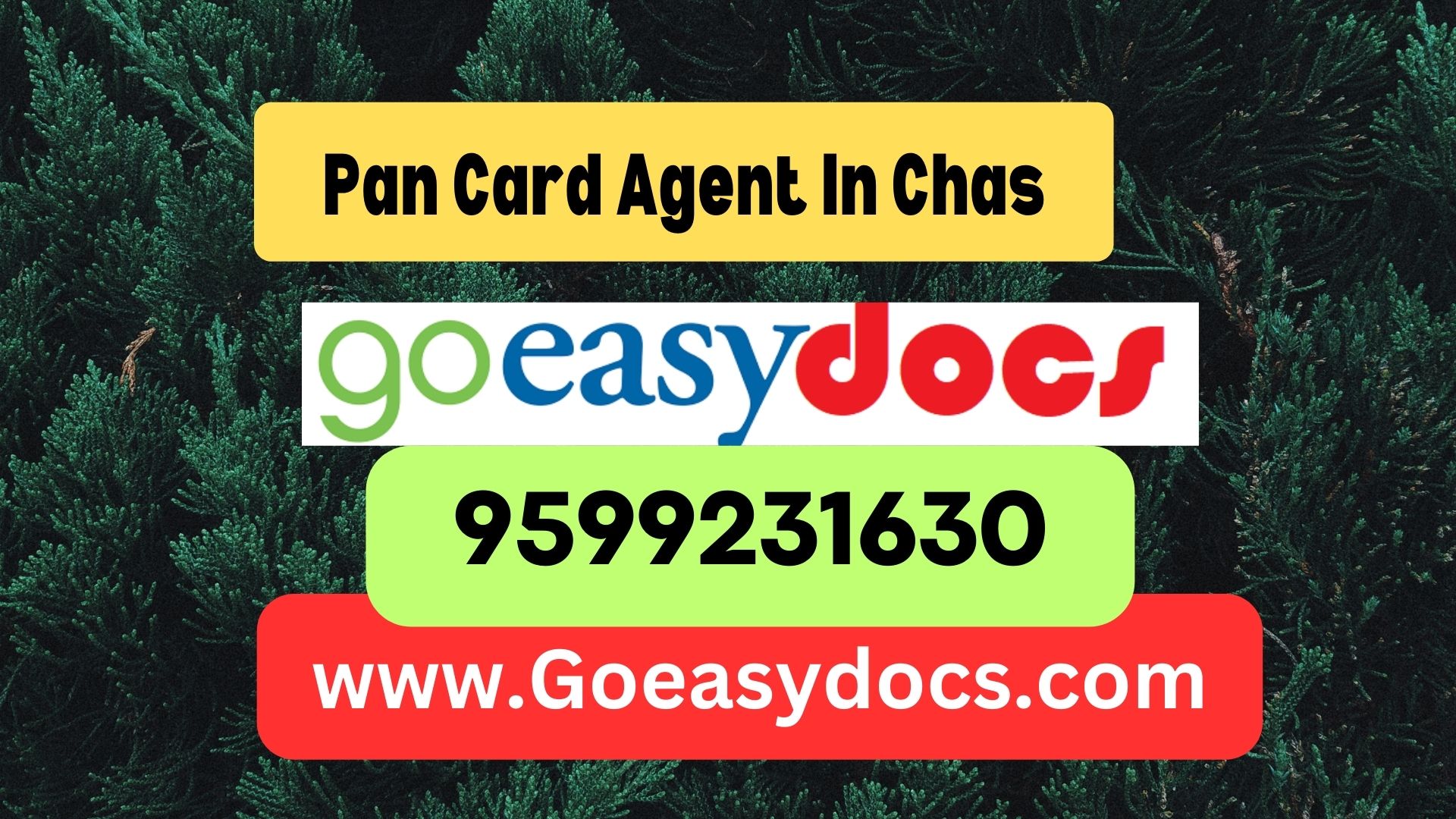 Pan Card Agent Consultant in Chas 8851415812