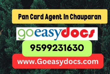 Pan Card Agent Consultant in Chauparan 8851415812