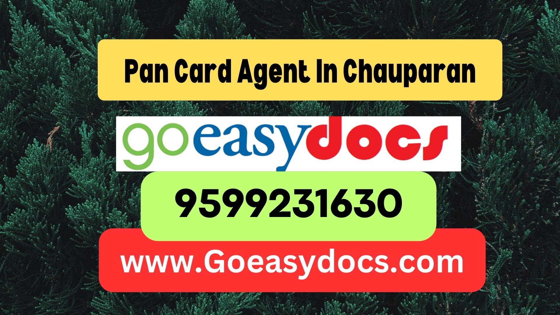 Pan Card Agent Consultant in Chauparan 8851415812