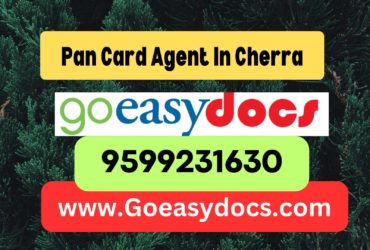 Pan Card Agent Consultant in Cherra 8851415812