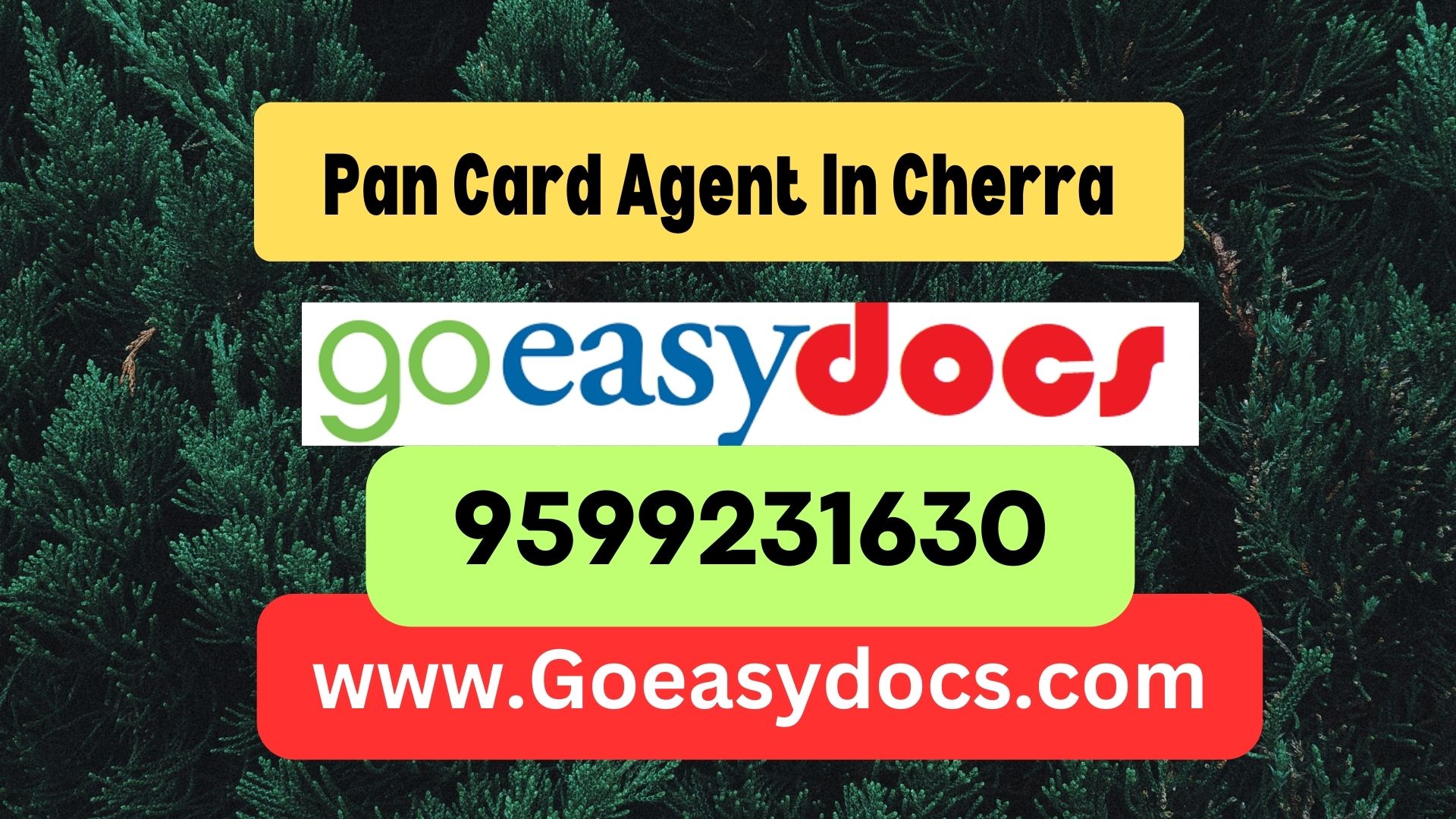 Pan Card Agent Consultant in Cherra 8851415812