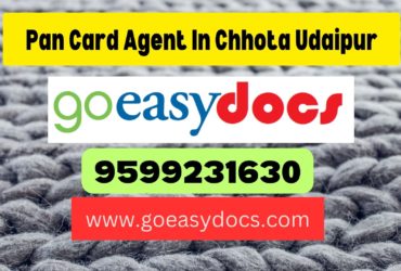 Pan Card Agent Consultant in Chhota Udaipur 8851415812