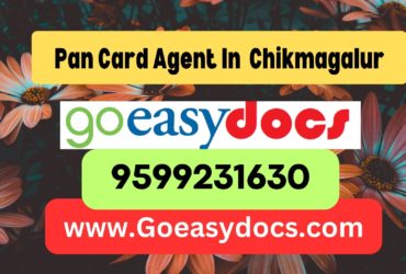 Pan Card Agent Consultant in Chikmagalur 8851415812