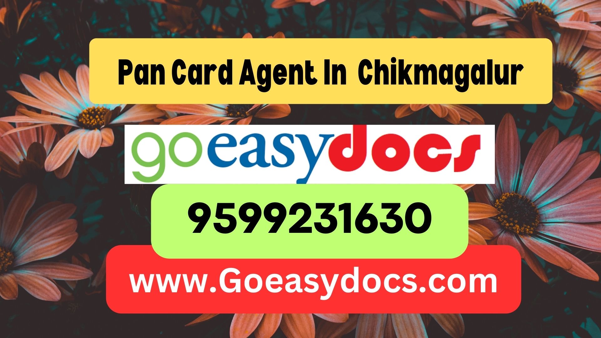 Pan Card Agent Consultant in Chikmagalur 8851415812