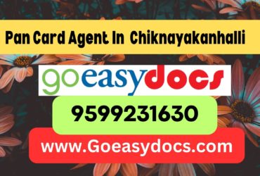 Pan Card Agent Consultant in Chiknayakanhalli  8851415812