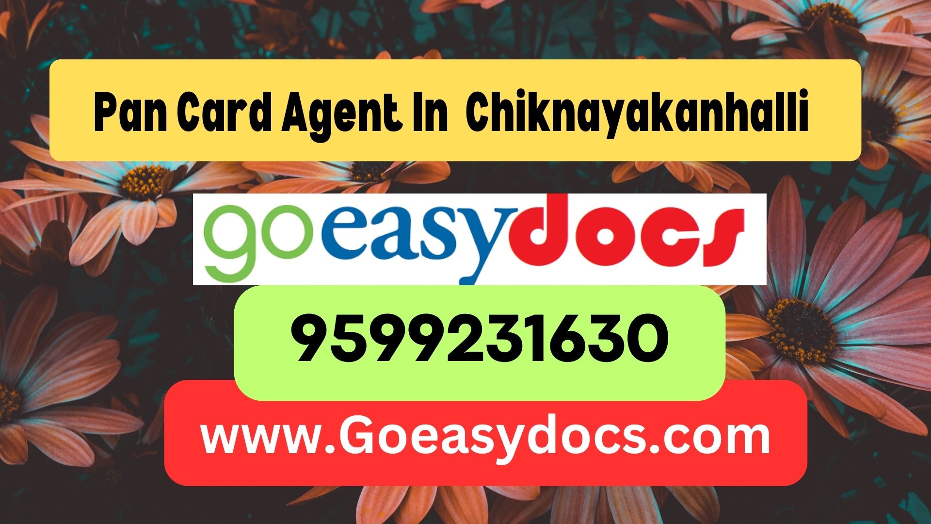 Pan Card Agent Consultant in Chiknayakanhalli  8851415812