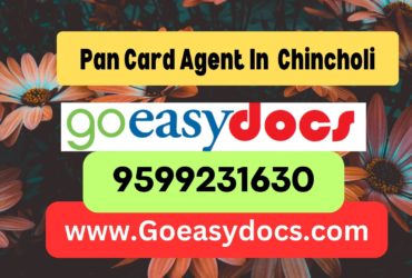 Pan Card Agent Consultant in Chincholi 8851415812