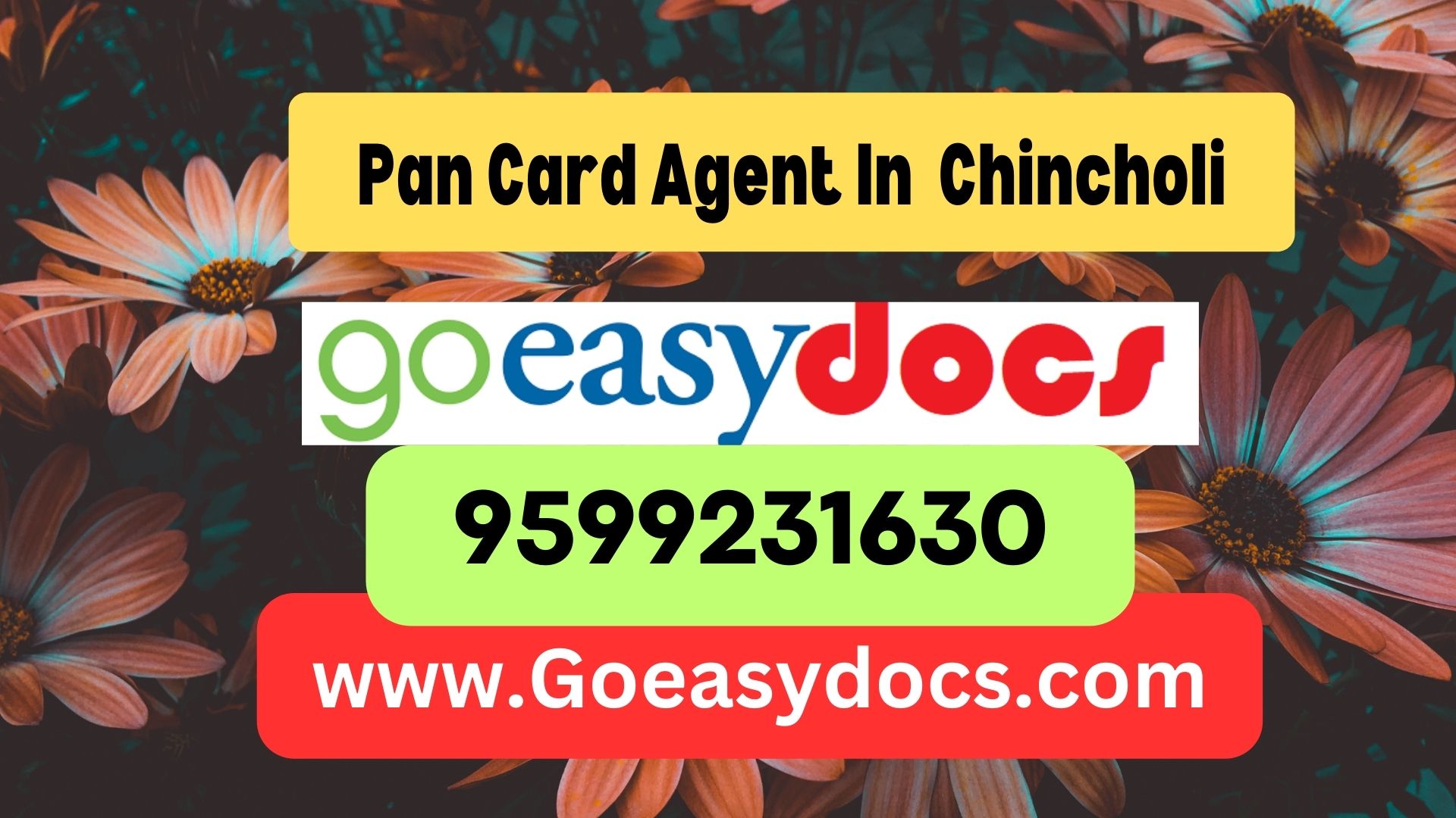 Pan Card Agent Consultant in Chincholi 8851415812