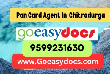 Pan Card Agent Consultant in Chitradurga 8851415812