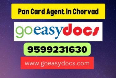 Pan Card Agent Consultant in Chorvad 8851415812