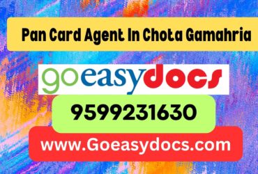 Pan Card Agent Consultant in Chota Gamahria 8851415812