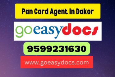 Pan Card Agent Consultant in Dakor 8851415812