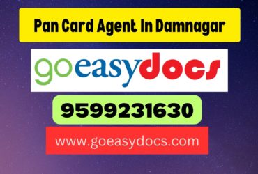 Pan Card Agent Consultant in Damnagar 8851415812