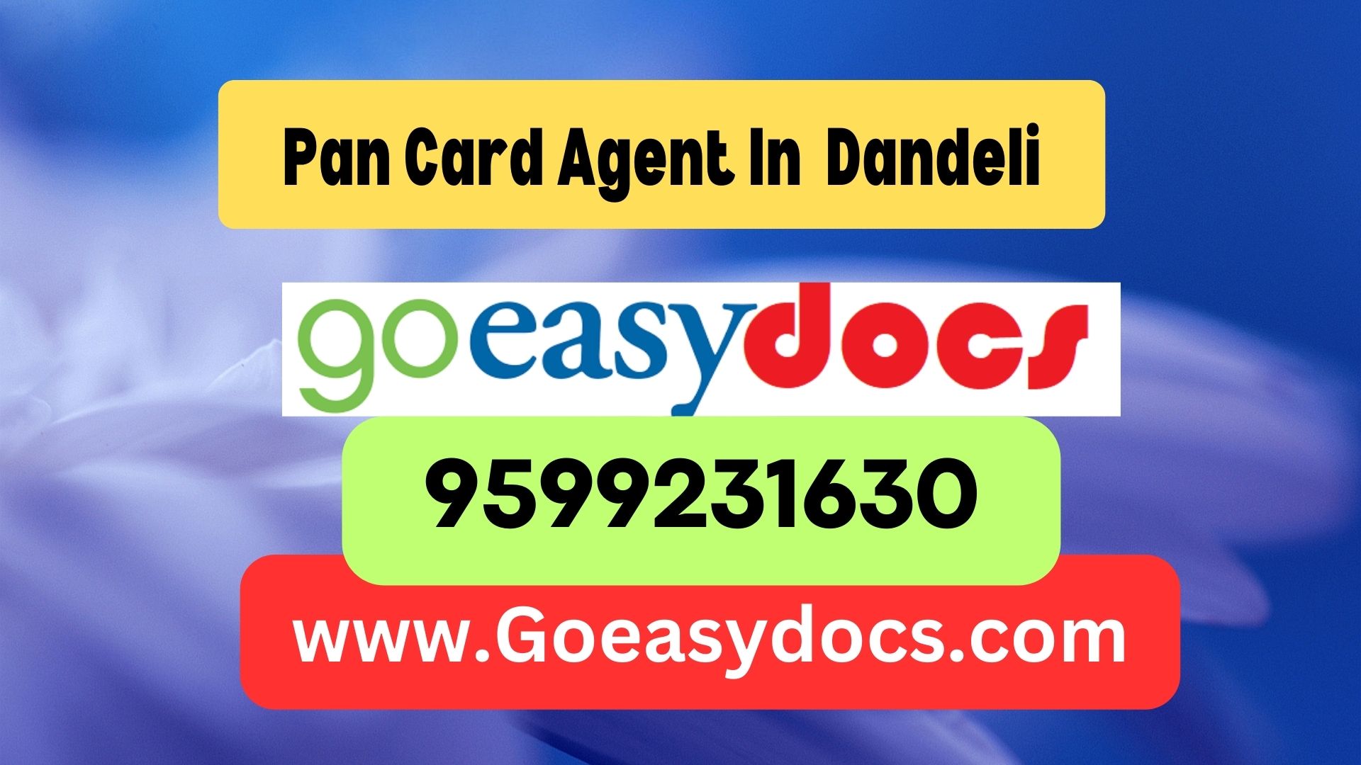 Pan Card Agent Consultant in Dandeli 8851415812