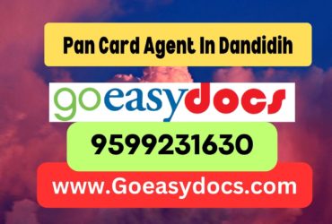 Pan Card Agent Consultant in Dandidih 8851415812