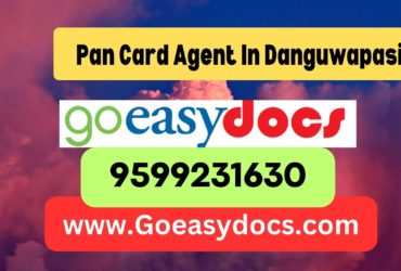 Pan Card Agent Consultant in Danguwapasi 8851415812