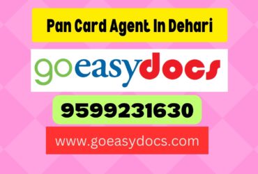 Pan Card Agent Consultant in Dehari 8851415812