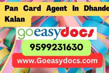 Pan Card Agent Consultant in Dhande Kalan 8851415812