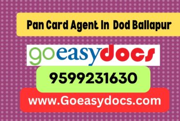 Pan Card Agent Consultant in Dod Ballapur  8851415812