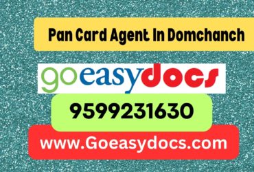 Pan Card Agent Consultant in Domchanch 8851415812