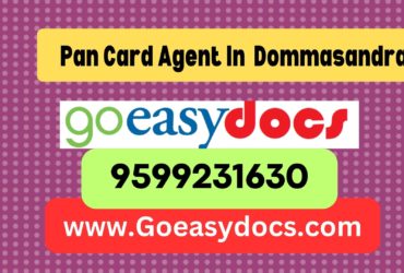 Pan Card Agent Consultant in Dommasandra 8851415812