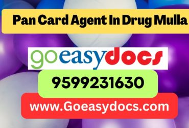 Pan Card Agent Consultant in Drug Mulla 8851415812