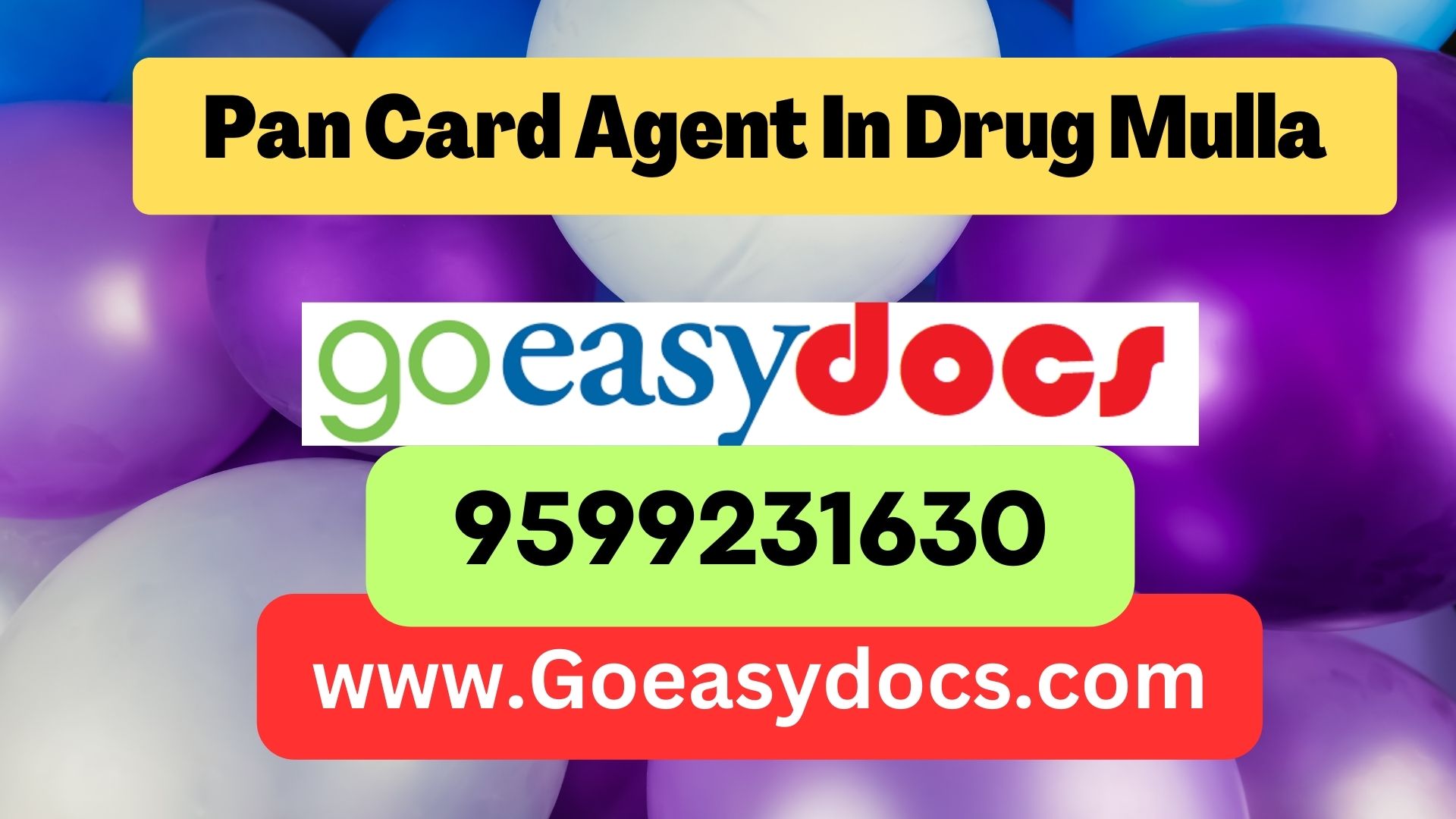 Pan Card Agent Consultant in Drug Mulla 8851415812