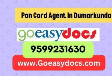 Pan Card Agent Consultant in Dumarkunda 8851415812