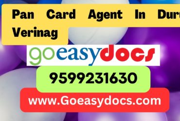 Pan Card Agent Consultant in Duru Verinag 8851415812