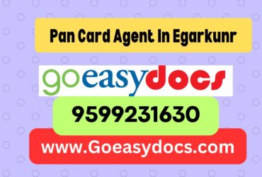 Pan Card Agent Consultant in Egarkunr 8851415812