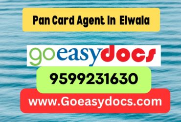 Pan Card Agent Consultant in Elwala 8851415812