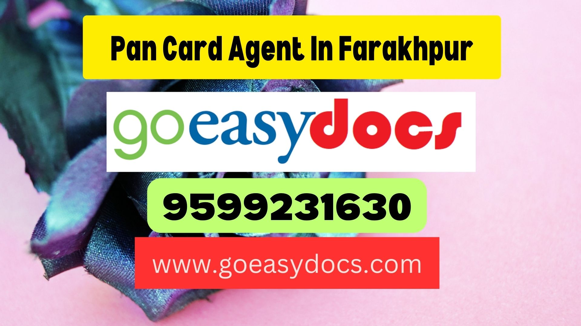 Pan Card Agent Consultant in Farakhpur 8851415812