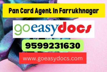 Pan Card Agent Consultant in Farrukhnagar 8851415812